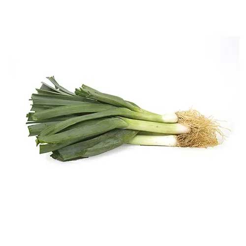 Green Leek Flake