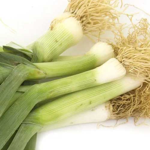 Green Leek Flake