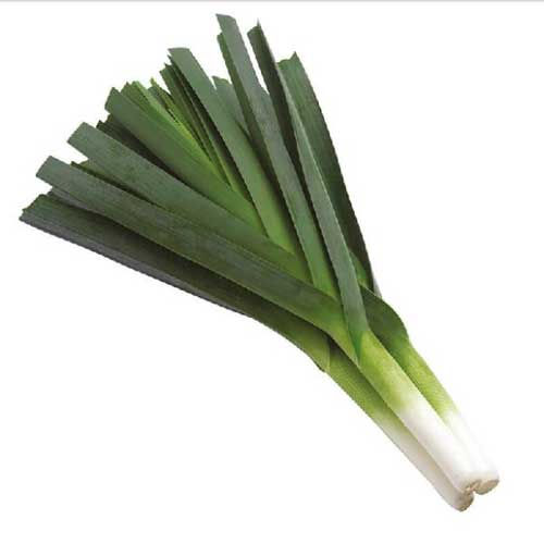 Green Leek Flake