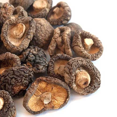 Shitakes Mushrooms