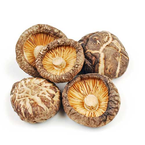 Shitakes Mushrooms