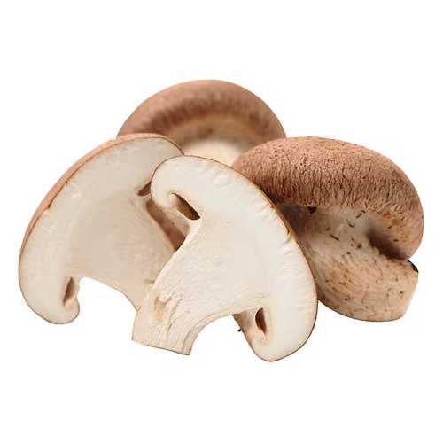 Shitakes Mushrooms