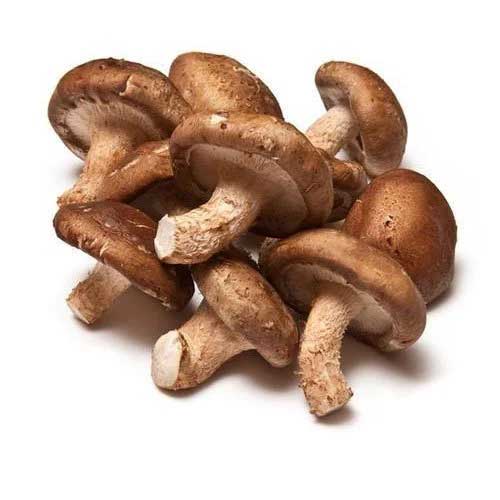 Shitakes Mushrooms