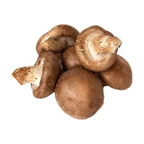 Shitakes Mushrooms