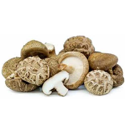 Shitakes Mushrooms