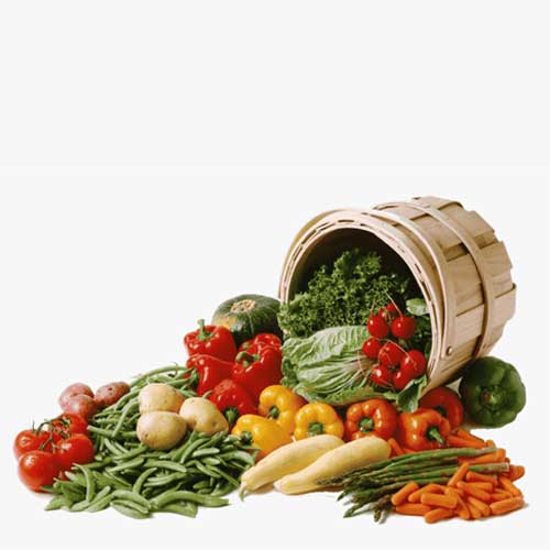 Quality Fresh Vegetables