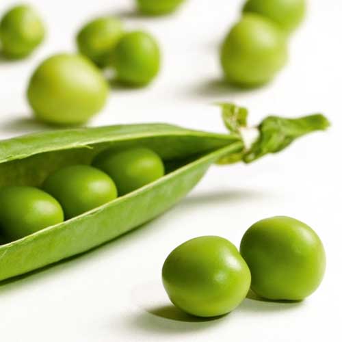 Field Peas