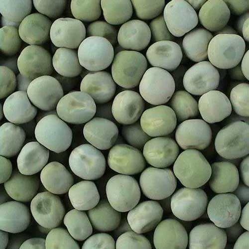 Field Peas