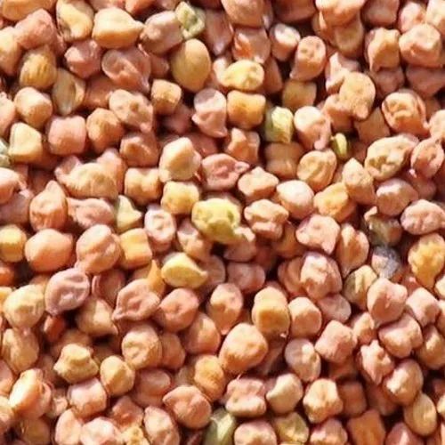 Chick Peas