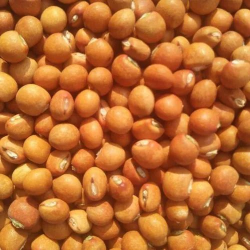 Pigeon Peas