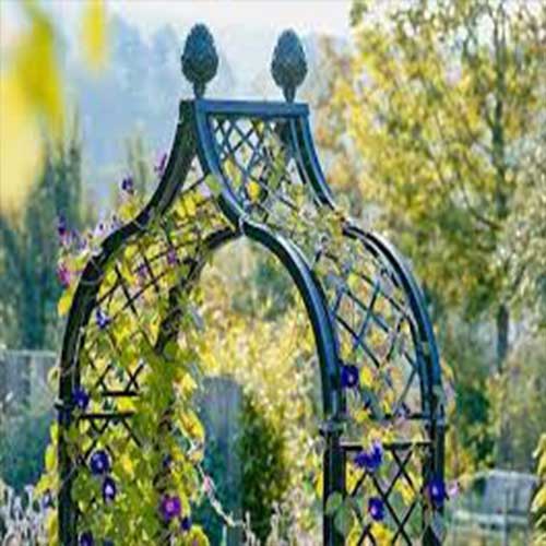 Garden Arches