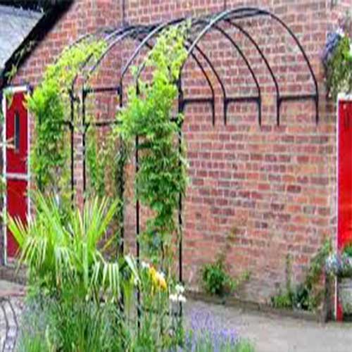Garden Arches