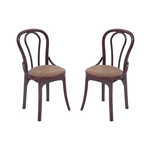 Plastic Dining Chair