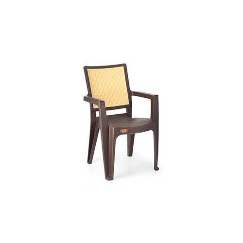 Plastic Dining Chair
