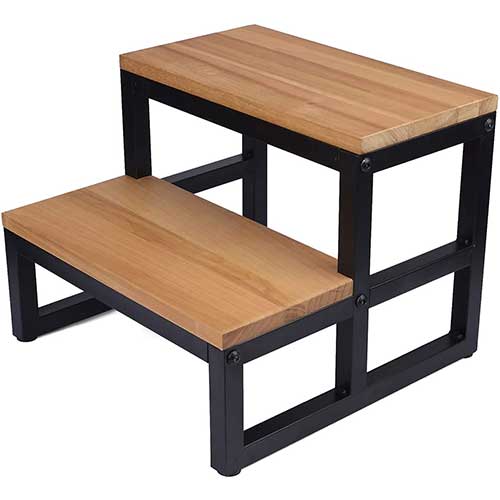 Double Step Stool