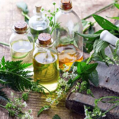 Herbals Oil