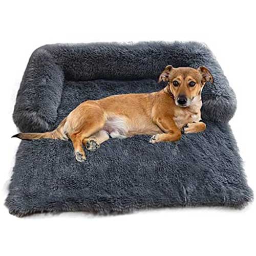 Dog Sofa Bed