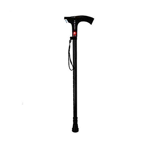 Walking Stick