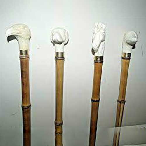 Bone Walking Stick