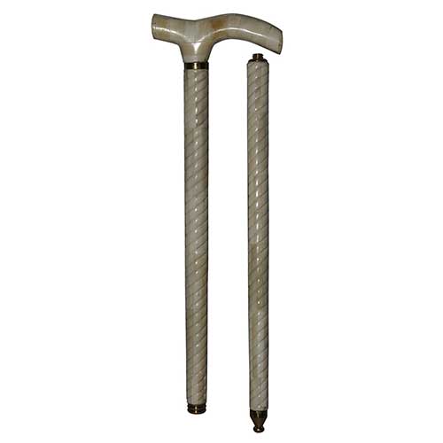 Bone Walking Stick