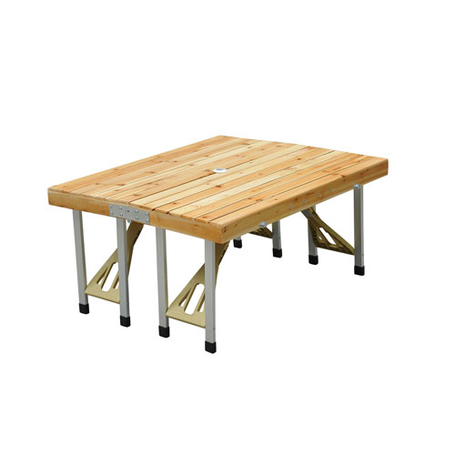 Portable Picnic Table