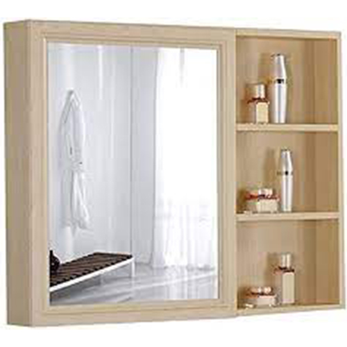 Plastic Mirror Cabinet