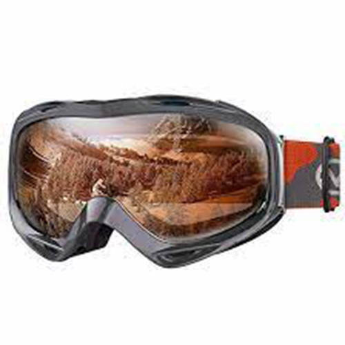 Snow Goggle