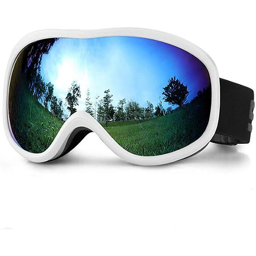Snow Goggle