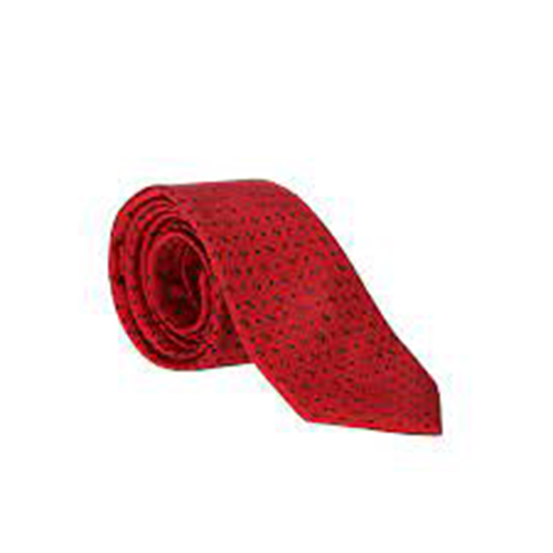 Silk Slim Tie