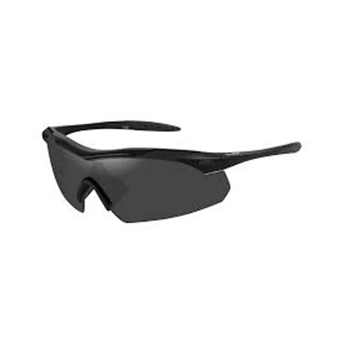 Goggle Frames