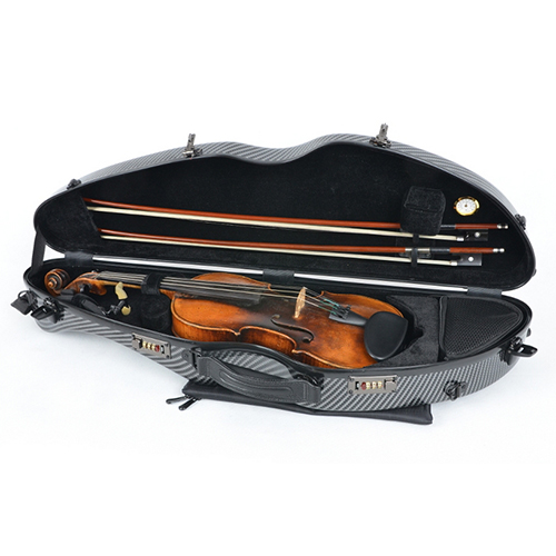 Violin Case