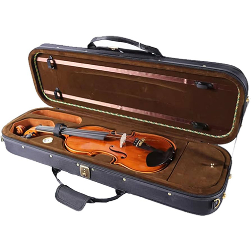 Violin Case
