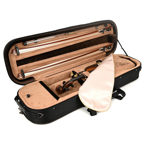Violin Case