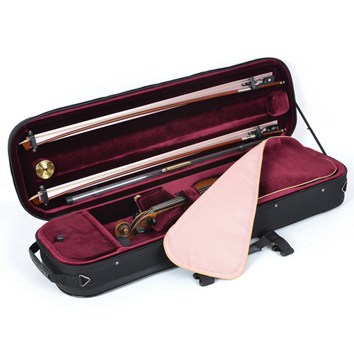 Violin Case
