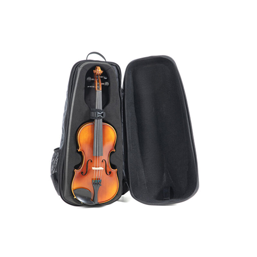 Violin Case