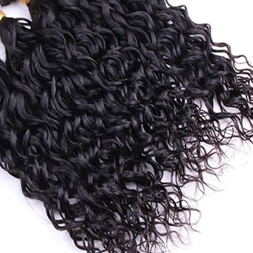 Black Human Hair Wigs