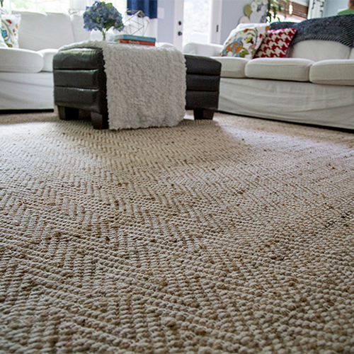 Jute Chenille Rugs