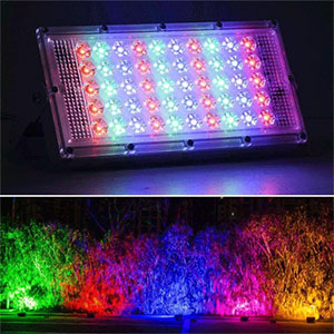 Rgb Flood Lights