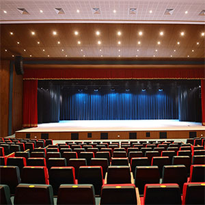 Auditorium Lights
