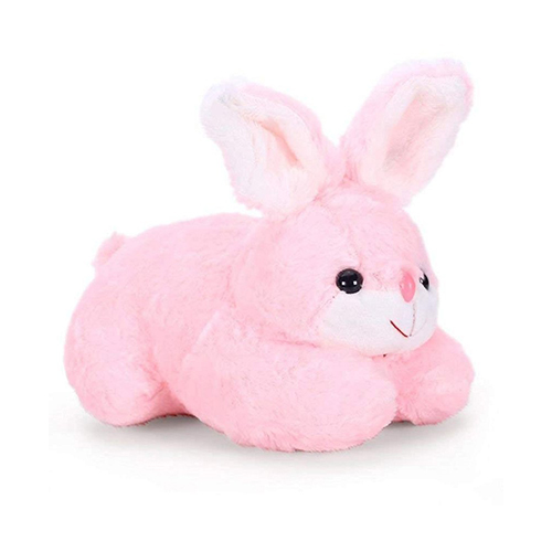 Bunny Toys