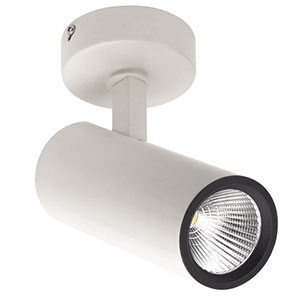 High Power Led Spotlight
