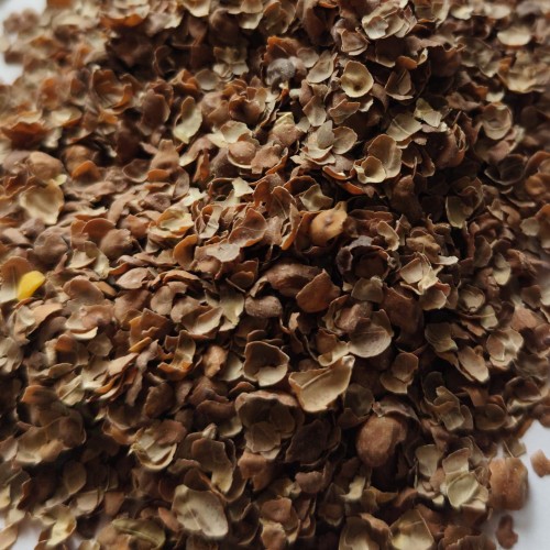 Mr. Ankit Rajesh Maltani