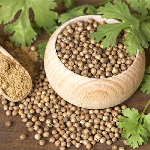 Whole Coriander