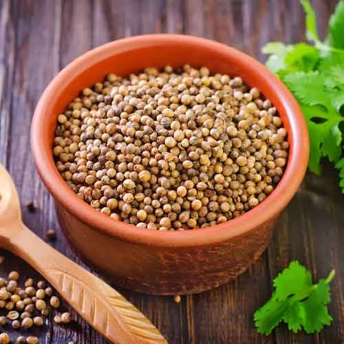 Badami Coriander