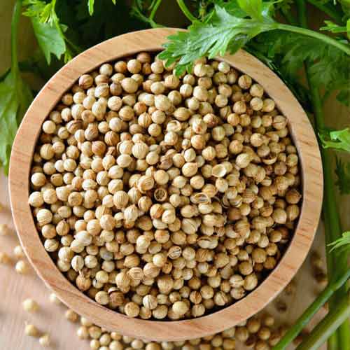 Premium Coriander