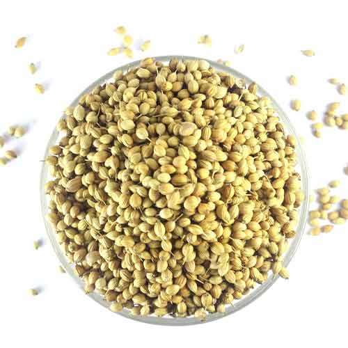 Super Badami Coriander