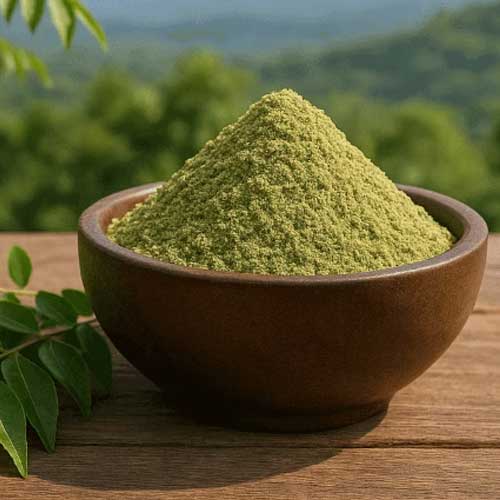 Dehydrated Curryleaves Powder
